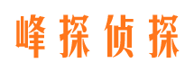 河北区市婚姻调查